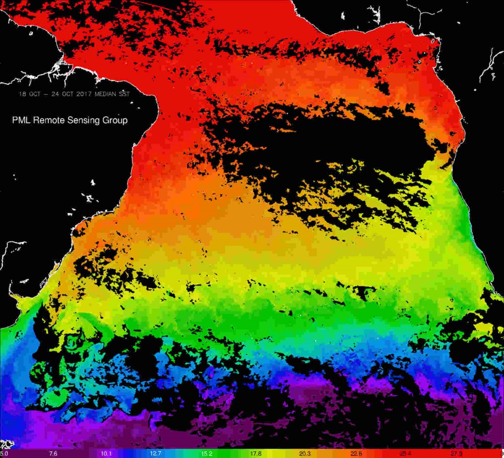 AVHRR Sea Surface Temperature median composite from 18 to 24 October 2017. The South Subtropical Convergence Zone is demarked from the Southern Gyre by the green band of 15C water (Satellite Imagery provided by Silvia Pardo from the National Earth Observation Data Archive and Analysis Service). AVHRR Sea Surface Temperature median composite from 18 to 24 October 2017. The South Subtropical Convergence Zone is demarked from the Southern Gyre by the green band of 15C water (Satellite Imagery provided by Silvia Pardo from the National Earth Observation Data Archive and Analysis Service).