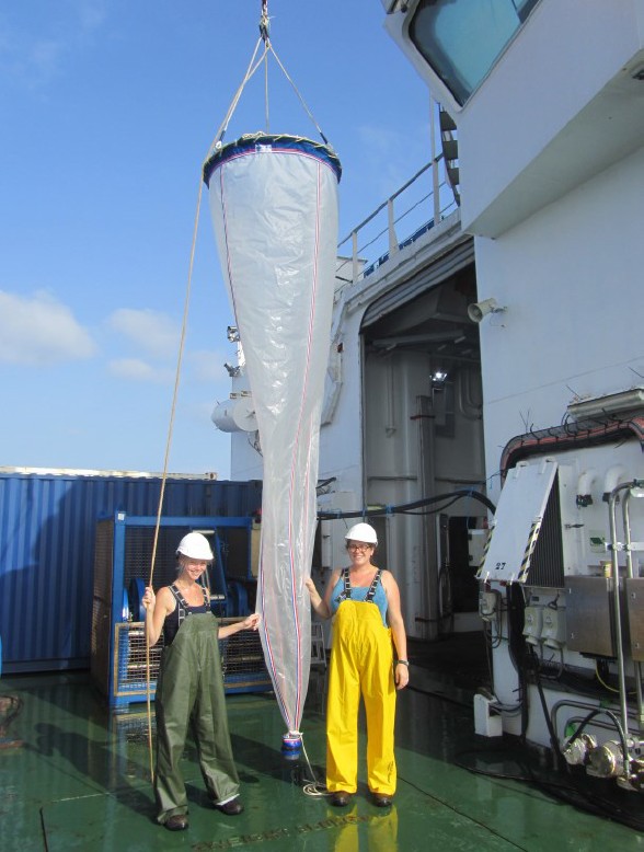 Bongo net deployment Bongo net deployment